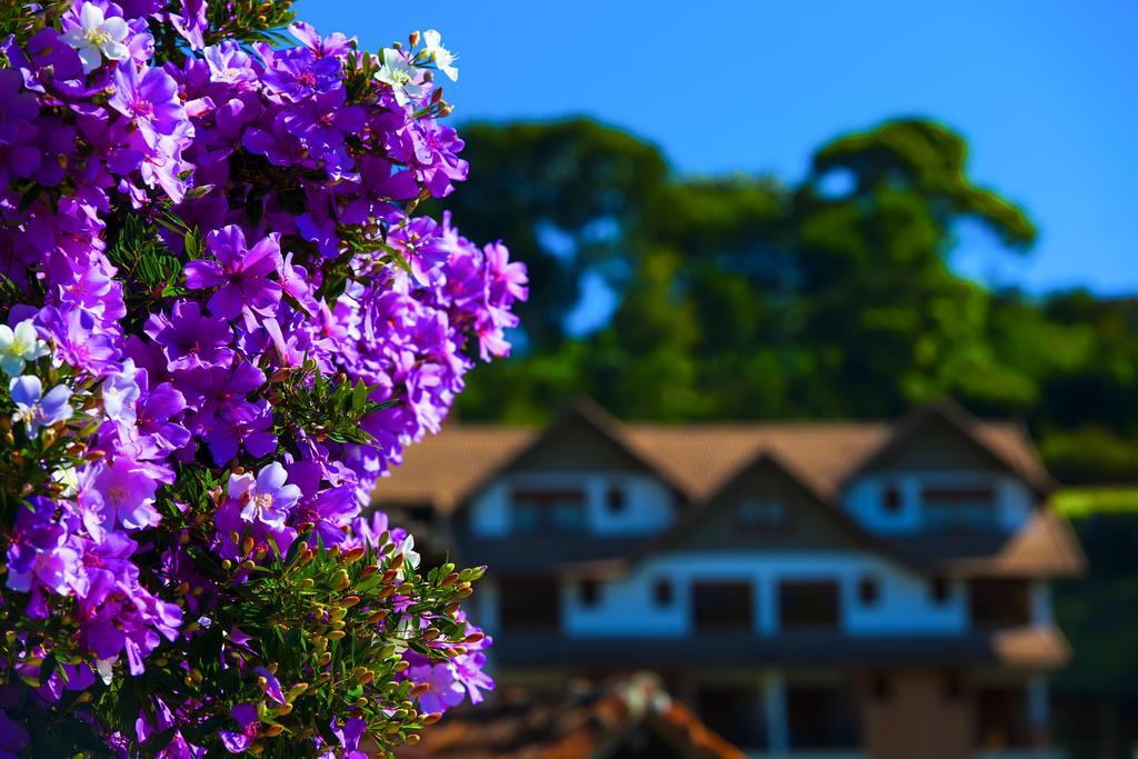 Pousada Dos Pinhos Hotel Pedra Azul  Exterior foto
